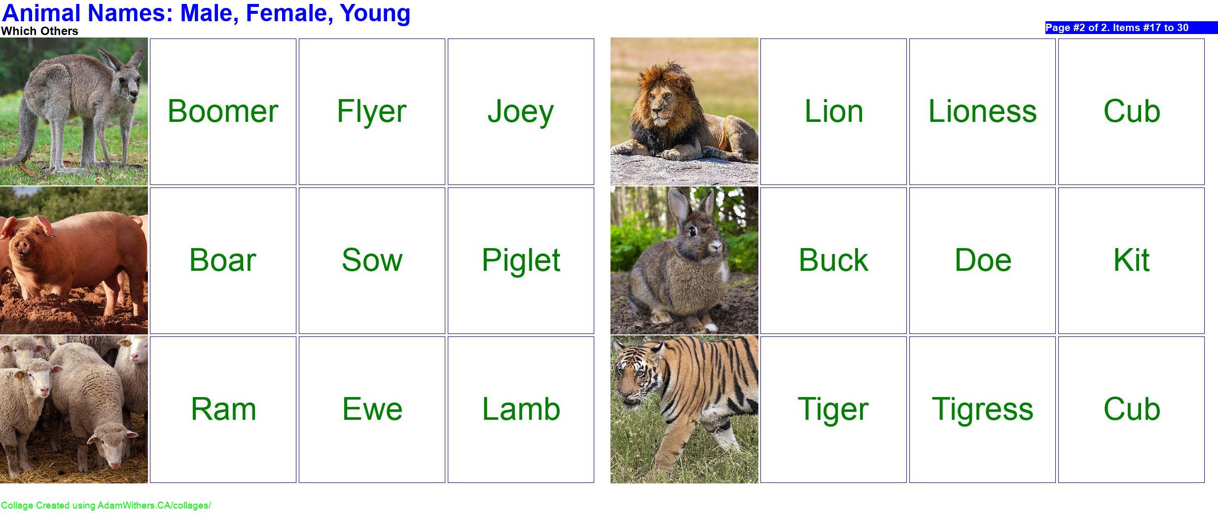 CollageC: animalNames Page 2